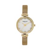 Kenneth Cole KC50541003 Kadın Kol Saati