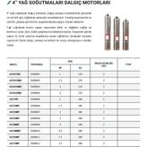 Kentaş Yağ Soğutmalı Dalgıç Su Pompası 4SD2200T