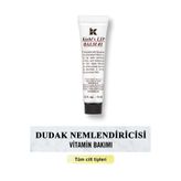 Kiehl's Klasik 15 ml Lip Balm