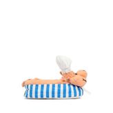 Kifidis Aşçı Domuz Peluş Terlik