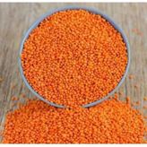 Kırmızı Mercimek 1Kg