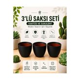 kolyosmarket 3'lü Dekoratif Siyah Saksı Seti 5.5 cm Kaktüs ve Sukulent Üretim Saksısına Uyumlu Modern Saksı ve üretim saksısı hediyeli