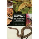 Königsboas. Boa constrictor im Terrarium.