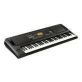 Korg 521 EK50 Entertainer Keyboard | 61 Tuşlu, Stereo Ses Sistemi, 700'DEN Fazla Ses ve Eşlik Ritimleri