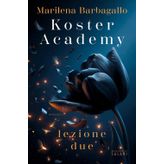 Koster Academy. Lezione due