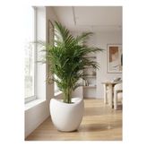ks kastasaksı 37x37 cm 25 litre plastik amorf modern Büyük Boy Modern Yapay / Canlı Çiçek Saksısı - Dekoratif Antre Ve Salon Saksısı