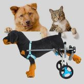 Küçük Orta Boy Köpek ve Kedi Rehabilitasyon Arabaları, Yaşlı Köpekler için Ayarlanabilir Bebek Arabası, Arka Ayaklı Engelli Yürüme Yardımcısı (Beden: M)