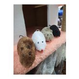 Kurmalı Fare Kedi Oyuncak