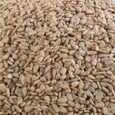 Kurtuluş Kuruyemiş 500 gr Çiğ İç Ayçekirdeği