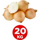 Kuru Soğan 20 KG