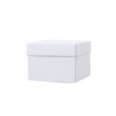 kutula 32 25*25*25 Beyaz Kraft Kutu