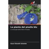 La pianta del pisello blu