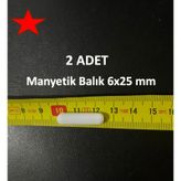 Lab Manyetik Balık 6x25 Mm - 2 Adet