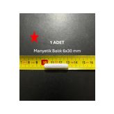 Lab Manyetik Balık 6X30 mm - Boy:30 mm - Çap:6 mm