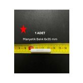 Lab Manyetik Balık 6X35 mm - Boy:35 mm - Çap:6 mm