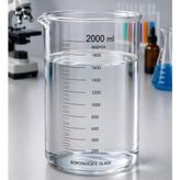 Labolist Beher Cam Dereceli 2000 ml 1 Adet