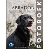 Labrador: Fotoboek
