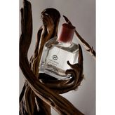 L'actone Oud Wood Eau De Parfum / Parfüm 100 ml