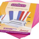 Lamiess 100'lü Pembe A-4 300 Mıc. Pp Cilt Kapağı