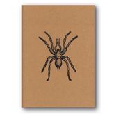 Le Color Kraft Düz Örümcek Defter