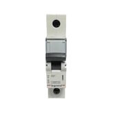 Legrand 403202 XS3 Tek Kutuplu Otomatik Sigorta