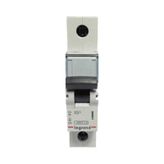 Legrand 403206 B Tipi 1x25 A Otomatik Sigorta