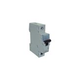 Legrand 403637- Otomatik Sigorta 6ka, 6A, 1p (C Tipi) - 6 A