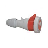 Legrand 555419 Cee Norm 5x32 Amper Priz