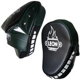Leon Pro Boks, Kick Boks Muay Thai ve MMA El Lapası