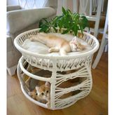 Lepus Lüxperi Ranza Model Kedi Yatağı Mix
