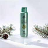 Lexroo Tm Pine Forest Deodorant 150 Ml Erkek