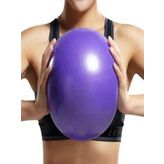 Leyaton Mini Pilates Topu (20 Cm / Mor)
