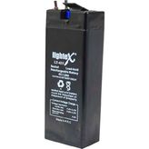 Lightex LT-42N 4 V 1.2 Amper Akü