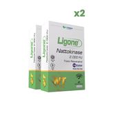 Ligone Nattokinase 2x30 Kapsül