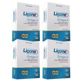 Ligone Omega 3 4x60 Kapsül Balık Yağı