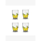 Limora Akrilik 475 ML 4’lü Bardak Seti