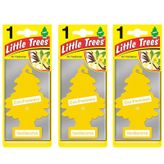 Little Trees 3'lü Vanilya Oto Kokusu