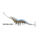 Live Target Shrimp 7Cm 3.5Gr Lrf Spin Karides Silikon Yem