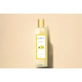 Lorient Limon Kolonya, 400 Ml