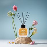 Loris 120 ml Şeftali & Vanilya Oda Kokusu