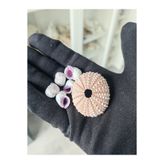 love your shell Pembe Deniz Kestanesi ve Mor Deniz Kabukları Seti: Evinize Doğanın Zarafetini Taşıyın