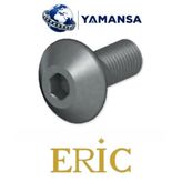M8X1 Tpkn 22 Baskı Vidası ERİC