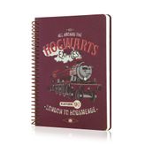 Mabbels 8682059384878 Harry Potter Butik Defter