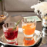Madame Coco Fiona 4'lü Su Bardağı