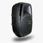 Magicvoice Mv-12 600 Watt 12'' 2-Yollu Pasif Kabin Hoparlör