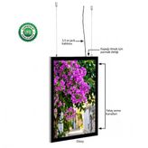Magneco Ledbox Çift Taraflı Işıklı Çerçeve B2