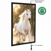 Magneco Ledbox Tek Taraflı Işıklı Çerçeve B1 Vitrin