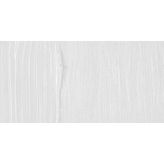 Maimeri Classico 020 Zinc White 60 ml Yağlı Boya
