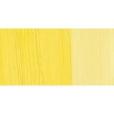 Maimeri Classico 081 Cadmium Yellow Light 60 ml Yağlı Boya