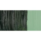 Maimeri Classico 358 Sap Green 60 ml Yağlı Boya